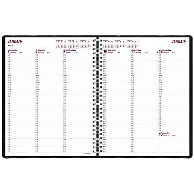 Brownline Weekly Planner for 2013, Twin Wire, 11x8.5 Inches, Black 