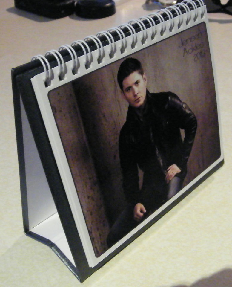 SUPERNATURAL 2013 JENSEN ACKLES DESKTOP CALENDAR BRAND NEW