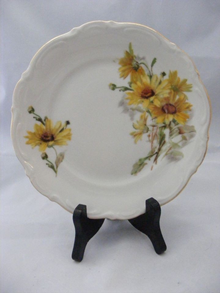 Mitterteich Susan Bavarian China Germany 2 Dinner Plate