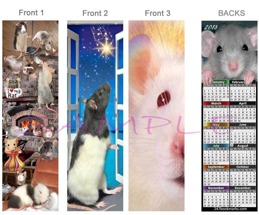 RAT 2013 CALENDAR BOOKMARK FUN RATS Pet book Mark card ART Figurine 