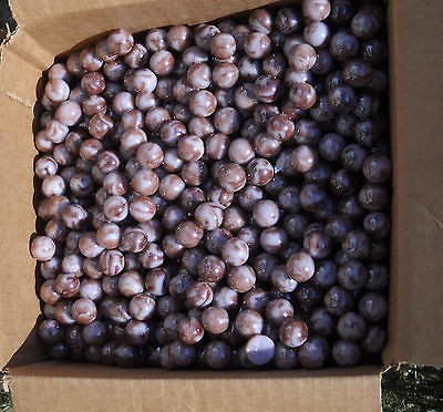 200 CHAMPION AGATE PURPLE BROWN RAINBOW METALLIC SWIRL marble marbles