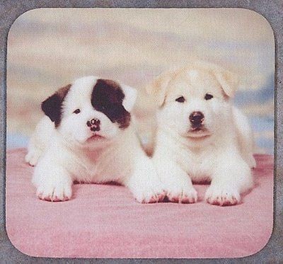 AKITA PUPPIES Heavy Rubber Backed Mousepad #0663