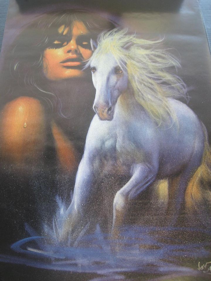 1988 Joy Caros Girl With the White Horse Verkerke vintage wall poster 