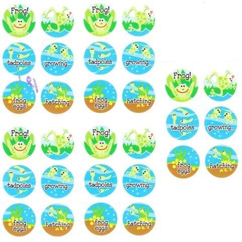 30 x Dot Stickers ★ Frog Life Cycle Tadpole Eggs Froggy Water 