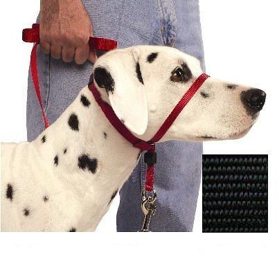 PREMIER GENTLE LEADER QUICK RELEASE DOG COLLARS