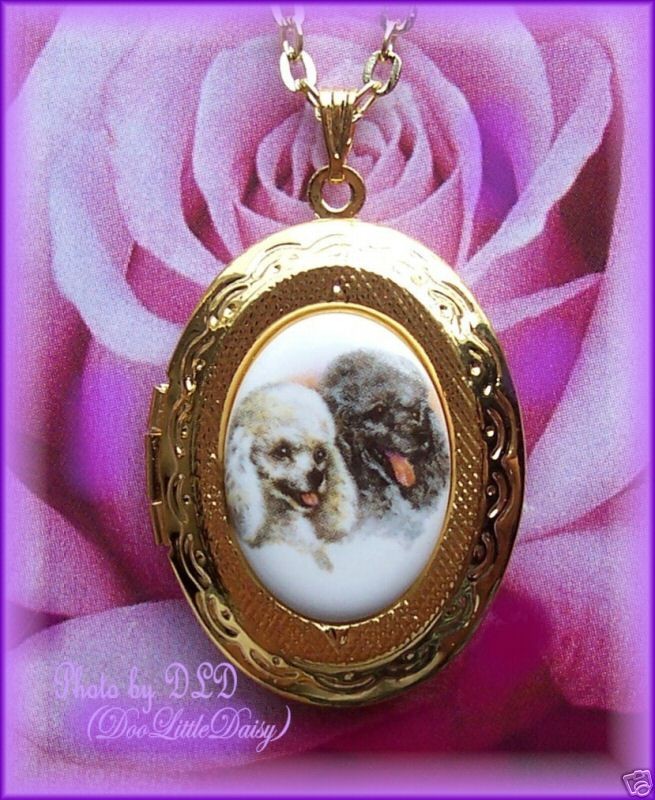 Little Porcelain 2 POODLE DOGS CAMEO Costume Jewelry LOCKET/PENDANT 