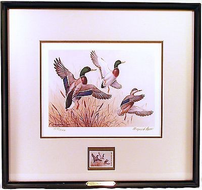 ducks unlimited prints in Prints