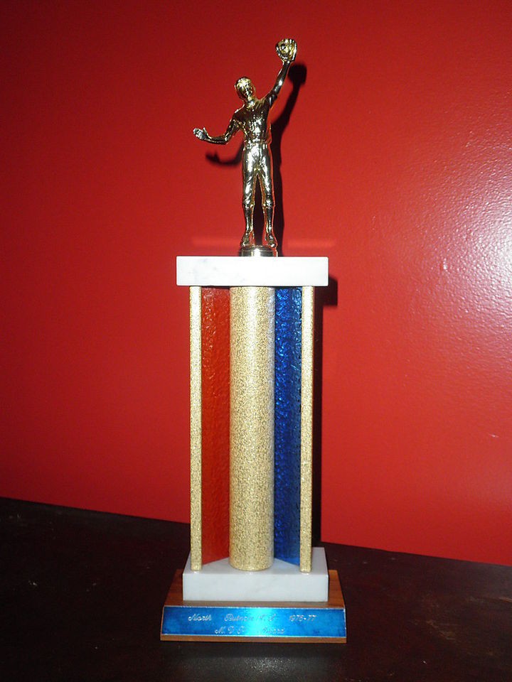 NORTH PUTNAM HIGH SCHOOL Mens Baseball MVP Trophy 1976 1977 Retro 