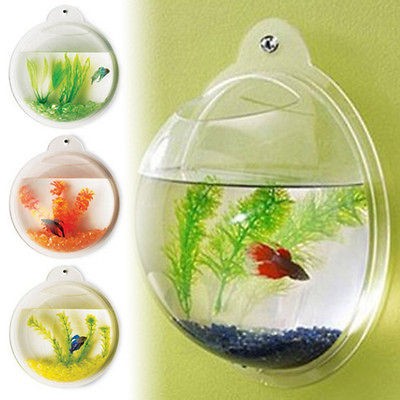 NEW WALL MOUNTED FISH TANK   BETTA BUBBLE AQUARIUM   WITH PLANT 