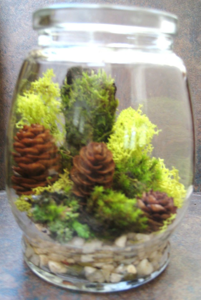 Miniature Garden Urn, Globe, Orb, Terrarium