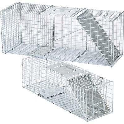 Raccoon, Squirrel, Skunk Live Animal Traps 2 Pk.