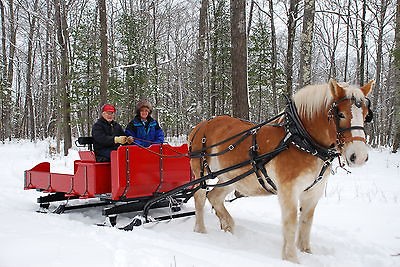   SLEIGH, single DRAFT, Profess. built, Lg back riding passenger area