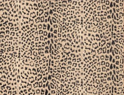 BATHROOM TIGER, LEOPARD PRINT Wallpaper FF22077