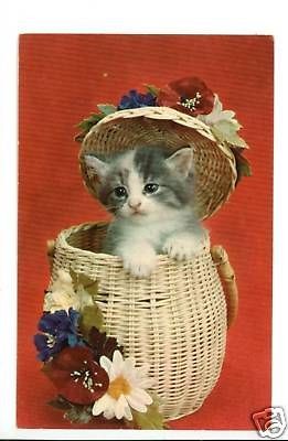 KITTEN CAT IN BASKET WITH LID AND FLOWERS POSTCARD