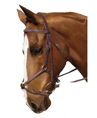 COLLEGIATE FIGURE 8 NOSEBAND BRIDLE, FULL CHESTNUT