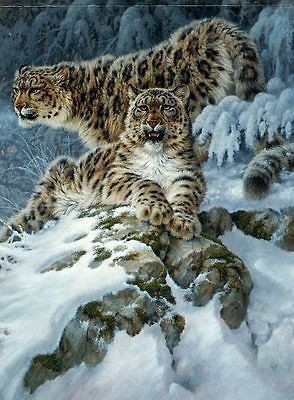   HIMALAYAN ROYALTY Cats Wildlife Winter Snow BOXLESS Puzzle *NEW