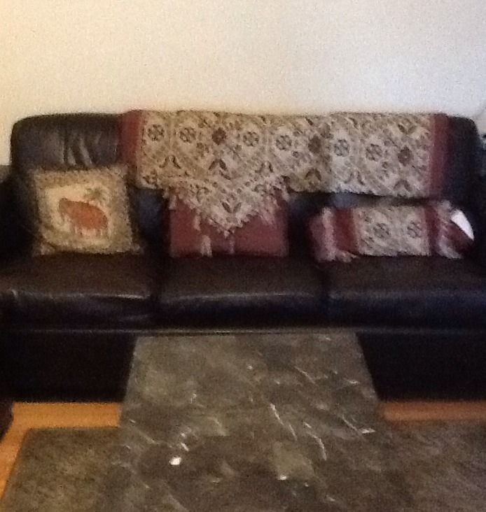 Leather Sleeper Sofa in Sofas, Loveseats & Chaises