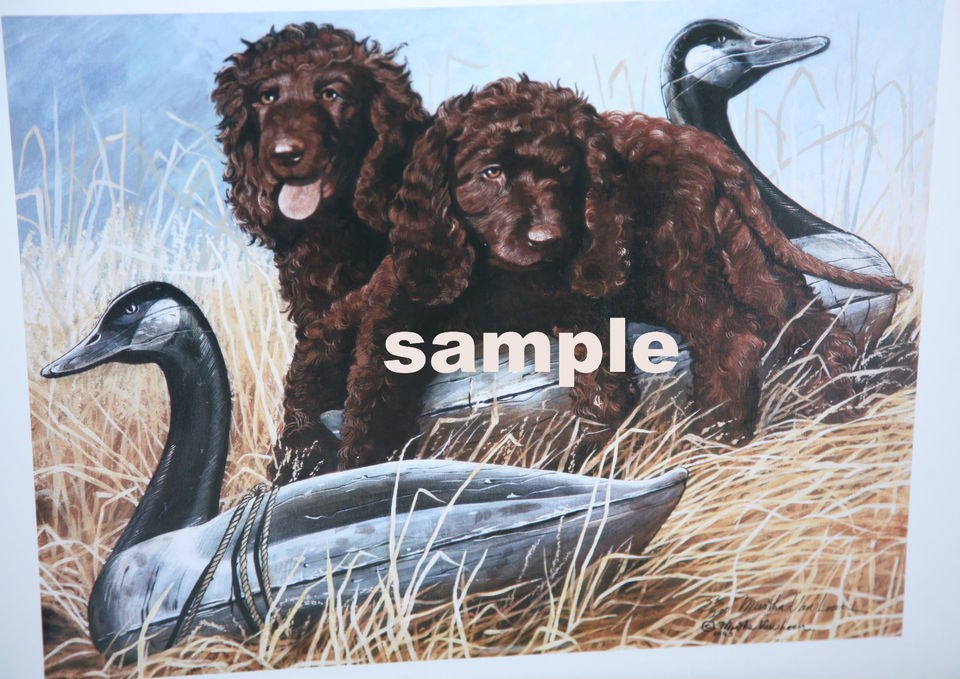 IRISH WATER SPANIEL PUPPIES LIMITED EDITION COLOR PRINT BY VAN LOAN