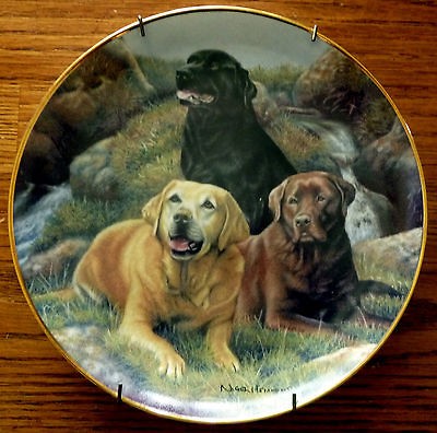   Mint Beloved Companions Lab Dog Collector Plate 3 Labradors Numbered