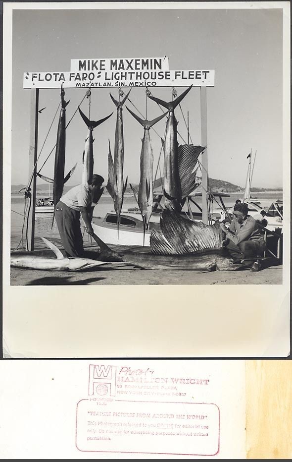   Mazatlan Mexico Sailfish Mike Maxemin Flota Faro Fishing Boat 571944