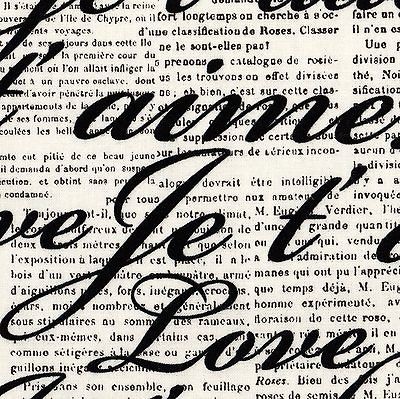 RETRO Romantic Rose Je tAdore NEWSPAPER Font FABRIC FQ Typography 