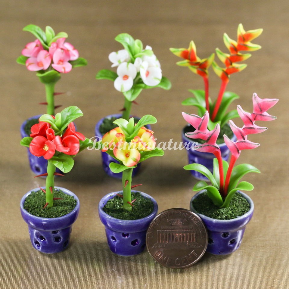 Crown of Thorns Plant Bird of Paradise Dollhouse Miniature Flower 