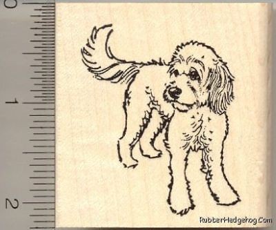 Cockapoo dog Rubber Stamp H11819 WM Cocker Spaniel