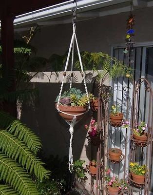 Plant Hangers