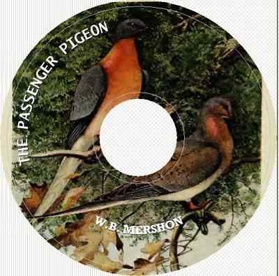 THE PASSENGER PIGEON by W. R. Mershon Book on CD