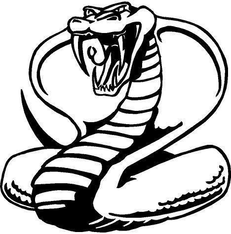 Cobra Vinyl Decal Car Cycle Truck Boat Window Sticker