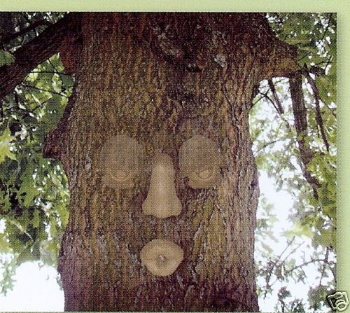 tree face in Yard, Garden & Outdoor Living