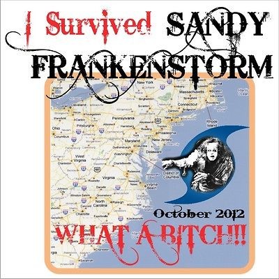   Sandy Frankenstorm White T SHIRT NWOT L Super Storm More n our store