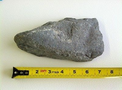 River Rock Flat Great For Terrarium Aquariums Or Decoration