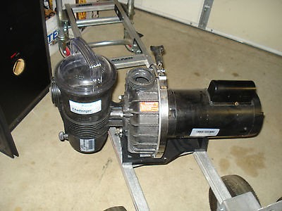 pentair pool pump in Pool Pumps