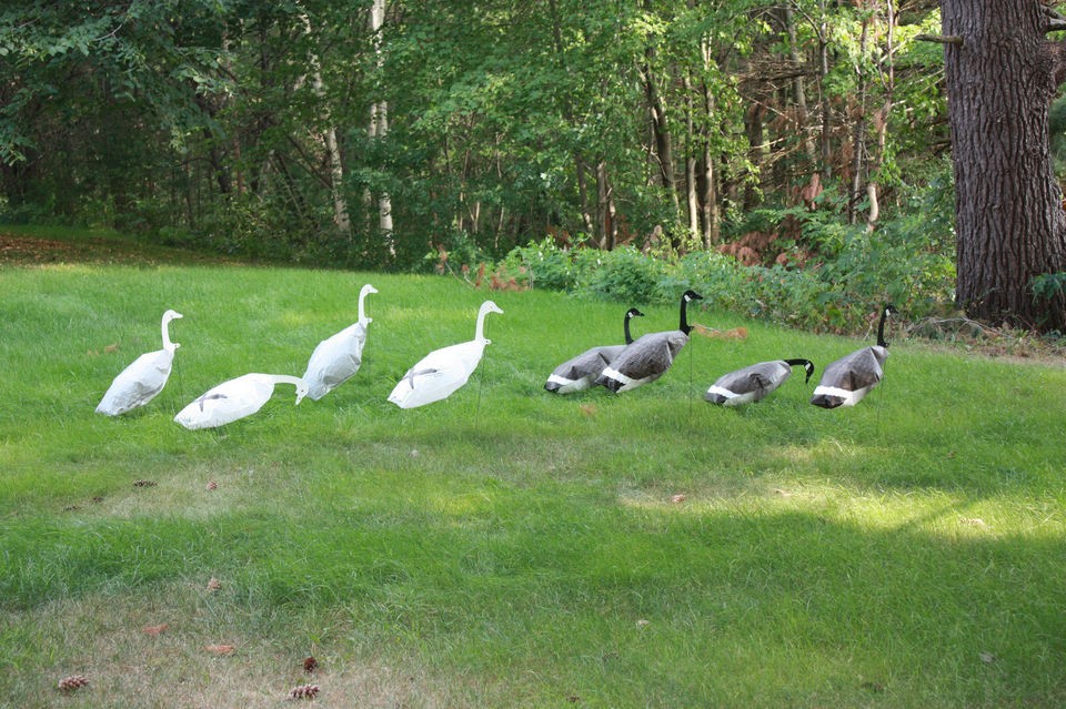 windsock decoys