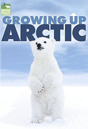 Animal Planet   Growing Up Arctic DVD, 2008