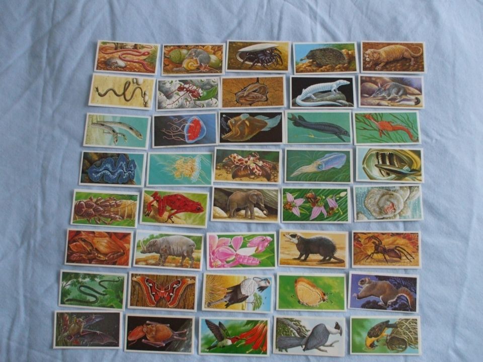 BROOKE BOND TEA CARDSINCREDIBLE CREATURES DEPT.ICBUY INDIVIDUALLY NO 