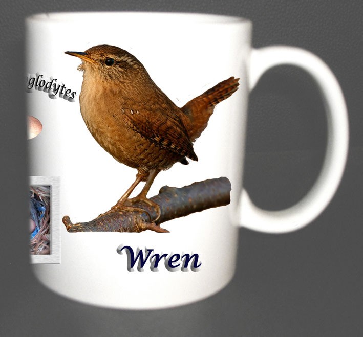 THE WREN GARDEN BIRD MUG LIMITED EDITION XMAS GIFT NEW