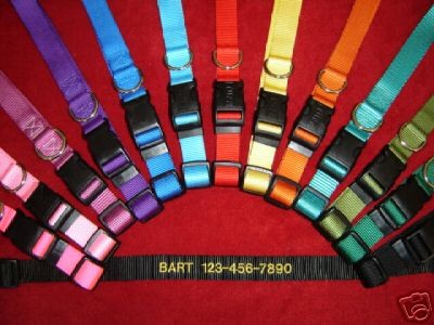 Pet Supplies  Dog Supplies  Collars & Tags  Nylon Collars