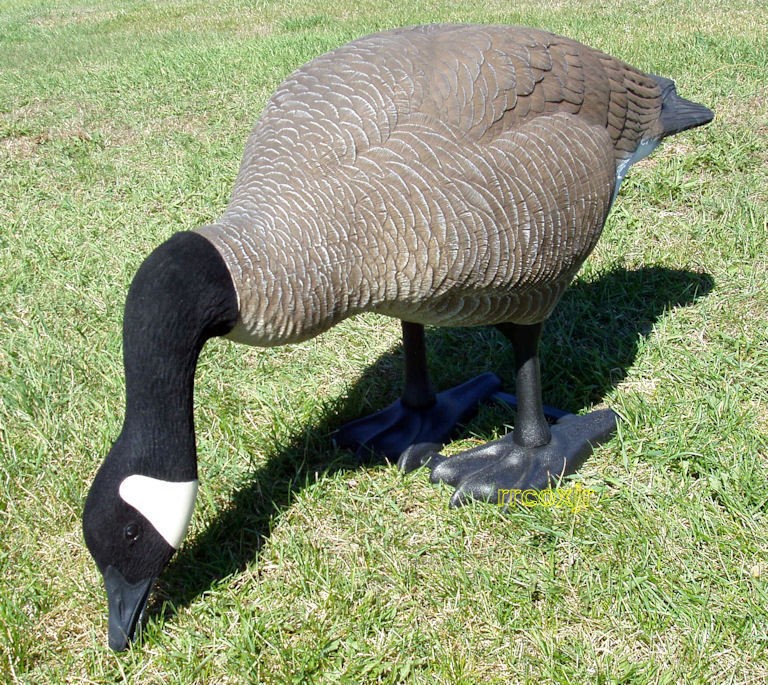 bigfoot decoys in Decoys