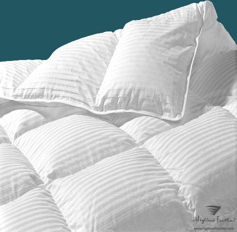 king size goose down comforters in Comforters & Sets