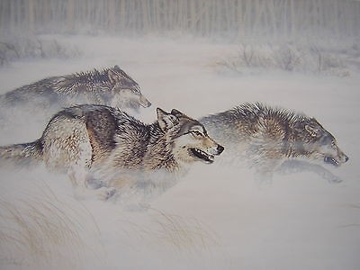 Guy Coheleach 30 Yards & Closing Fast Wolf LTD ED Print