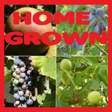 GROWING RASPBERRIES AT HOME SMALLHOLDING collection JOB LOT DVD 