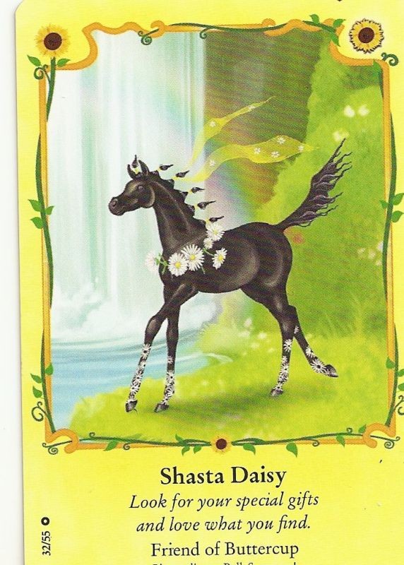 BELLA SARA SUNFLOWERS NON FOIL CARD#32/55 SHA​STA DAISY