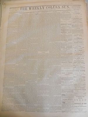 The Weekly Colusa Sun 1/8/1876   Stockton Insane Asylum