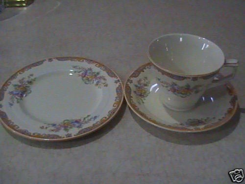 Grindley China England cup,saucer,plate w/flowers VGC