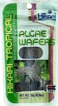 HIKARI ALGAE WAFERS .70oz ~ tropical aquarium fish food