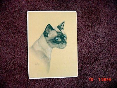 GLADYS EMERSON COOK SIAMESE CAT KITTEN PRINT