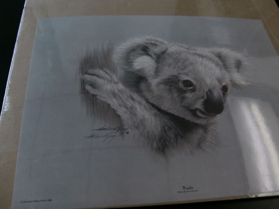 HAROLD RIGSBY PRINT   KOALA   1980   SIGNED   LIMITED EDITION