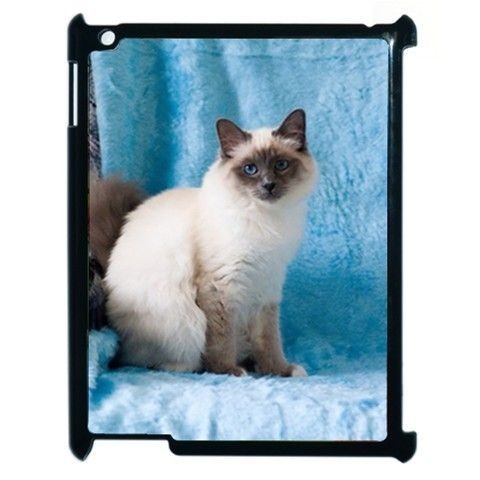   CAT KITTEN APPLE IPAD 2 TABLET COMPUTER BLACK COVER CASE 16GB 32GB